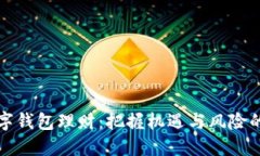 题目： 数字钱包理财：把握机遇与风险的全面指