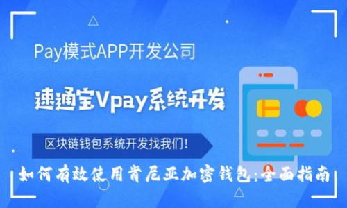 如何有效使用肯尼亚加密钱包：全面指南