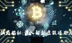 区块链钱包骗局揭秘：深入解析虚假项目与受害
