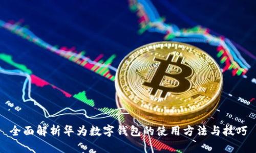 全面解析华为数字钱包的使用方法与技巧