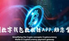 2025必看！深圳数字钱包数据链APP，助您掌控财政